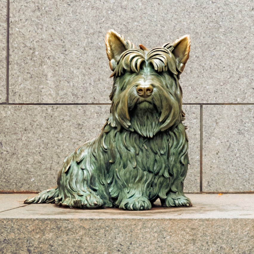 A bronze statue of FDR's dog Fala in Washington, D.C..