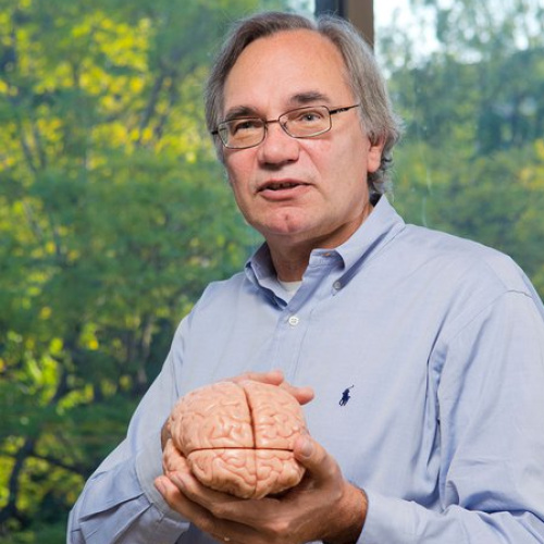 Prof. Richard Andersen, CalTech