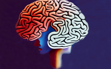 Illustration of a large brain on top of a woman's face and neck, against a navy background. The front portion of the brain is shaded red; the rest is white.